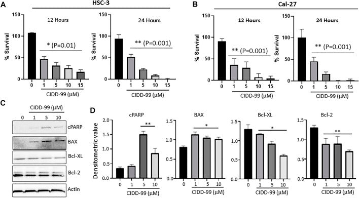 Inhibition of Ca2+ entry by capsazepine analog CIDD-99 prevents oral squamous carcinoma cell proliferation